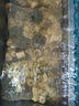 全福鯉戶(hù)外錦鯉魚(yú)池過(guò)濾器大型水循環(huán)凈化系統304不銹鋼魚(yú)池過(guò)濾設備XMQ-1（適合0-20噸水） 曬單實(shí)拍圖