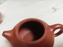 名壺秋月 宜興紫砂壺原礦大紅袍文旦壺小茶壺名家全手工制作 光素器 收藏 原礦大紅袍 160cc 曬單實(shí)拍圖