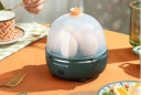 九阳（Joyoung）煮蛋器多功能智能蒸蛋器7个蛋量 ZD7-GE130（飞泉绿） 晒单实拍图