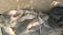 龍王恨魚(yú)餌謀攻小藥釣魚(yú)餌料釣餌添加劑增效劑穿透力強黑坑小藥 謀攻-鯽-液體(50ml/瓶) 曬單實(shí)拍圖