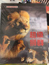 比動(dòng)物紀錄片更好看的書(shū)·《我們愛(ài)科學(xué)》·精品科普叢書(shū)·探秘大自然·超級獅群 曬單實(shí)拍圖