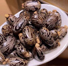 物擇堂 蓖麻子中藥材 蓖麻籽新鮮干貨大粒 蓖麻籽種子 紅大麻子 【正品】蓖麻子100克 曬單實(shí)拍圖