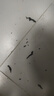 蘭憐單件男秋褲莫代爾薄款打底襯褲高腰大碼線褲中老年不加絨棉質(zhì)秋褲 男秋褲深灰+淺灰 適合131斤-160斤 曬單實拍圖