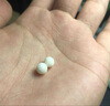 金匠利俄料白花蜜蠟手串骨瓷白原礦蜜蠟手鏈白蜜佛珠琥珀妖花白蜜蠟散珠 10MM白蜜蠟每顆 曬單實(shí)拍圖