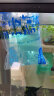 云峰海瑞 热带鱼 观赏鱼灯科鱼 观赏鱼小型淡水鱼草缸群游 热带鱼活体 红绿灯鱼50条 实拍图