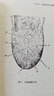 新華正版 中醫舌診 任應秋醫學(xué)叢書(shū) 中國中醫藥出版社 9787513262057 曬單實(shí)拍圖