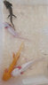 森悠（SARYOR）六角恐龍魚蠑螈活體淡水寵物冷水魚耐活家養(yǎng)非錦鯉水族爬行寵物魚 10-13厘米【1白+1黑+1黃】 曬單實(shí)拍圖