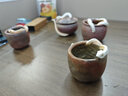 三遍柴燒寶瓶壺嚟蛇手抓壺單壺陶瓷復(fù)古防燙蓋碗純手工粗陶日式泡茶壺 柴燒嚟蛇-寶瓶壺 曬單實(shí)拍圖