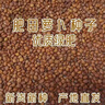 匯種草農肥田蘿卜籽散裝滿(mǎn)園花白蘿卜種子一斤四季果園綠肥除草青飼耐貧瘠 肥田蘿卜【5斤】 曬單實(shí)拍圖