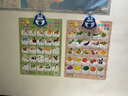 0-3歲嬰幼兒按圖觸摸發(fā)聲掛圖 拼音識字卡數字有聲啟蒙早教 乖寶寶有聲漢語(yǔ)拼音掛畫(huà) 幼兒早教認知卡 動(dòng)物世界 曬單實(shí)拍圖
