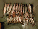 川品社 管付丸世魚(yú)鉤長(cháng)柄有倒刺歪嘴鉤散裝高端釣魚(yú)勾盒裝 管付丸世/8號(100枚/盒) 曬單實(shí)拍圖