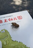 成語(yǔ)故事 兒童國學(xué) 彩繪注音版 小學(xué)一二三年級課外必讀書(shū)  大語(yǔ)文系列 小學(xué)語(yǔ)文課外閱讀經(jīng)典叢書(shū) 兒童國學(xué)經(jīng)典誦讀 課外閱讀加厚本 曬單實(shí)拍圖