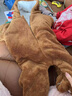 晴其嬰兒爬行服拖地服秋冬秋冬寶寶連體衣服超萌男女孩嬰兒童裝爬服動(dòng) 棕色熊加厚升級(jí)款 52cm 73碼（60-66厘米） 曬單實(shí)拍圖