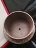 徐保國宜興紫砂壺泡茶壺丁菊蘋純?nèi)止ぷ仙安鑹刈嫌窠鹕岸耷?紫金砂 250ml 250cc 曬單實拍圖
