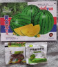 黃心西瓜種子綠皮黃心西瓜種籽皮薄黃肉禮品西瓜陽(yáng)臺盆栽小西瓜種 黃心西瓜種子【1包 約30?！?曬單實(shí)拍圖
