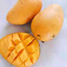 潤(rùn)味來(lái)海南小臺(tái)芒新鮮 小芒果鮮果整箱應(yīng)季特產(chǎn)水果小臺(tái)農(nóng)芒果甜芒果 2斤精選裝（無(wú)禮盒） 曬單實(shí)拍圖