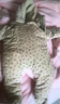 迪士尼（Disney）寶寶冬季外出棉服加厚保暖包屁衣嬰幼兒衣服冬裝嬰兒秋冬款連體衣 爬服包腳 90 曬單實(shí)拍圖