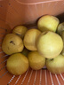 田良季【JD/順豐】遼寧鞍山山南果梨東北特產(chǎn)南國梨子香水梨金南果送禮 10斤黃果禮盒裝丨超劃算 凈9斤 精選5A大果丨濃郁酒香 曬單實(shí)拍圖