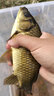 釣之界進口線組主線成品主線組pe加固主線套裝全套綁好魚線釣魚臺釣 4.5m-PE加固【4卷裝送線盒】 2.0# 曬單實拍圖