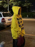 POUM衛(wèi)衣男秋冬季美式街頭字母印花撞色連帽男女國潮休閑秋季帽衫潮 YDGYL-W01黃色 常規(guī) XL 曬單實拍圖