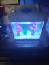 森森（SUNSUN）鱼缸水族箱桌面生态金鱼缸玻璃迷你小型客厅懒人免换水家用缸 (高清玻璃)白230+水草景(带20件套) 实拍图