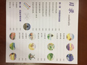 【現(xiàn)貨速發(fā)】彩鉛風(fēng)景彩鉛畫(huà)入門(mén)教程書(shū)繪畫(huà)美術(shù)書(shū)籍零基礎(chǔ)成人兒童彩色鉛筆教材手繪對(duì)照臨摹畫(huà)冊(cè)古風(fēng)圖書(shū)生 曬單實(shí)拍圖