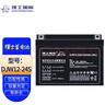 LEOCH理士蓄電池12V24AH38ah65ah閥控式鉛酸免維護DJW12-24S38S消防UPS DJW1224S 曬單實(shí)拍圖