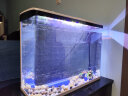 SICCE鱼缸懒人鱼缸家用客厅办公室金鱼缸中小型玻璃鱼缸过滤鱼缸 SO-600F（600*230*500） 实拍图