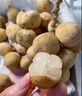 順豐現貨泰國龍宮果新鮮進(jìn)口水果當季龍貢果孕婦椰色果龍貢果順豐 3斤 整串裝 曬單實(shí)拍圖