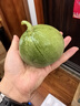覓百果正宗山東綠寶石甜瓜頭茬小香瓜新鮮當季孕婦時(shí)令水果香甜多汁現摘 凈重2.8-3斤中果 曬單實(shí)拍圖