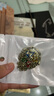 哈利波特魔法袍正版袍子環(huán)球影城服裝聯(lián)名衣服圣誕節禮物周邊學(xué)院 獅院魔法袍六件套 XL 曬單實(shí)拍圖