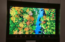 創(chuàng)維電視65A3F 65英寸電視機(jī)一級(jí)能效144Hz 媲美Mini LED 4K液晶游戲智能平板65吋 家電國(guó)家補(bǔ)貼 曬單實(shí)拍圖