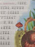法布爾昆蟲(chóng)記彩圖注音 6-8-10小學(xué)生一二三年級課外書(shū)暢銷(xiāo)書(shū)籍少兒讀物 語(yǔ)文 系列兒童文學(xué)故事書(shū) 昆蟲(chóng)記 曬單實(shí)拍圖