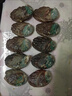 新鮮小鮑魚(yú)鮑魚(yú)鮮活冷凍中小鮑魚(yú)鮮活急速冷凍鮑魚(yú)食材 10只鮑魚(yú)【5-10g左右/個(gè)】 曬單實(shí)拍圖