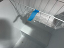 澳柯瑪（AUCMA）143升一級能效家用電冰柜 冷藏冷凍轉(zhuǎn)換頂開門小冷柜 全冷凍或全冷藏 BC/BD-143NE143L 曬單實拍圖