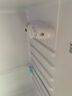新飞（Frestec）138升实用双开门小型冰箱迷你家用冰箱 简约时尚 出众颜值 省电节能 BCD-138K2CT 实拍图