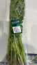 高山芹菜苗200g 曬單實(shí)拍圖