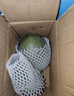 海南金煌芒果 生鮮水果芒果 單果70-100g+ 凈重2.4斤 曬單實(shí)拍圖