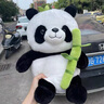 天虹（TIANHONG）熱水袋充電暖肚子暖水袋暖手寶寶電暖寶大姨媽暖腰暖腳取暖神器 抱竹熊貓（65℃自動(dòng)斷電） 【防爆國(guó)標(biāo)熱水袋】雙插手 曬單實(shí)拍圖
