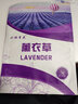 小鎮有花薰衣草花卉種子 四季種植 家庭陽(yáng)臺園藝休閑綠化花?；ㄗ?克  曬單實(shí)拍圖