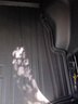 車麗友專用于雪佛蘭邁銳寶后備箱墊24款TPE全包圍尾箱墊腳墊汽車用品20 TPE后備箱墊單層 雪佛蘭邁銳寶 定制 曬單實拍圖