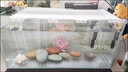 森淵天然彩石精品長江鵝卵石魚缸石造景裝飾大石頭空氣缸彩石擺件 15-20長缸（店主搭配彩石） 曬單實拍圖