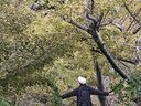 莫代爾潮流沖鋒衣外套男士春夏秋季戶外登山防風(fēng)雨連帽可拆工裝情侶夾克 【男裝】黑色 2XL 曬單實(shí)拍圖