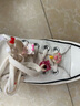 匡威（Converse）官方 Chuck 70 Mule一腳蹬透氣帆布半拖鞋172592C 米黃色/172592C 38 曬單實(shí)拍圖