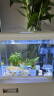 森森 超白玻璃一体小鱼缸AT-350B款自循环生态鱼缸 桌面观赏性水族箱 实拍图