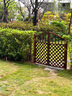 柏菲亞戶(hù)外柵欄門(mén)圍欄花園庭院雙格雙開(kāi)門(mén)院子裝飾小籬笆門(mén)實(shí)木護欄菜園 網(wǎng)格柵欄門(mén)寬112高114cm(雙開(kāi)） 曬單實(shí)拍圖