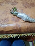 慎思苑重瓣太陽花苗宿根苗混色植物綠植花卉盆栽四季種植開花帶根發(fā)貨 混色重瓣太陽花苗5顆 不含盆 曬單實拍圖