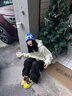 RIPSTAR SKBD Low K88拉力賽車(chē)風(fēng)男女同款低幫板鞋K88配色 K88 40 曬單實(shí)拍圖