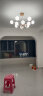 雷士（NVC）吊灯魔豆分子灯客厅北欧灯具灯饰创意原木风90瓦WHDD90F/G-19 实拍图