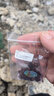 歐梵洛皮椰殼南紅瑪瑙橄欖核隔片文玩手串金剛星月菩提墊片diy配飾件 椰殼隔片(棕)10*2 每組30片！ 曬單實(shí)拍圖